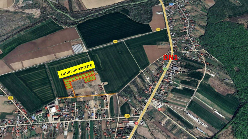 poza Loturi de casa - 1.000 mp intravilan - Strada Scolii - Ciolpani Ilfov