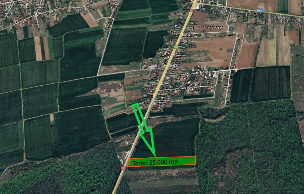 poza Teren intravilan 25.000 mp Ciolpani, Ilfov